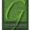 Grosvenor Grass