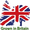 Grown In Britain