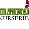 Guilthwaite Nurseries