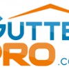 The Gutter Professional