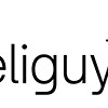 Heliguy