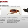 ABC Pest Services
