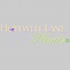 Holywell Lane Plants