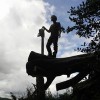 Honiton Hardwoods