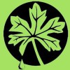 Hoo House Nursery