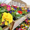 Horticentre
