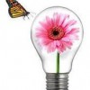 Ideasforgardens