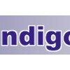 Indigo Office Design