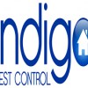 Indigo Pest Control