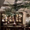 Interior Plantscapes