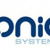 Ionic Systems