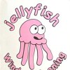 Jellyfish Window Cleaning