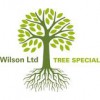 R Wilson Tree Specialists