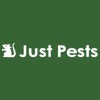 Just Pest's