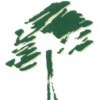 K.A.D Total Tree Care
