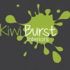 Kiwi Burst Interiors