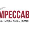 L'Impeccable Services Solutions