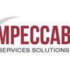 L'Impeccable Services Solutions