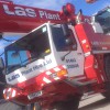 Las Plant
