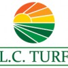 L C Turf