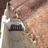 Lincoln Gutter Cleaning