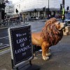 Lions Of London