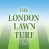 The London Lawn Turf