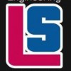 LS Engineering Services