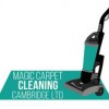 Magic Carpet Cleaning Cambridge