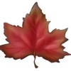 Maple Leaf Domestic Appliances