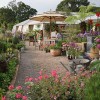 Middlecombe Nursery