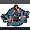 Minichanics