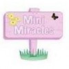 Mini Miracles Cleaning Services
