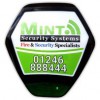 Mint Security Systems