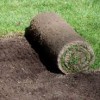 MLF Landscapes & Turf Supplies