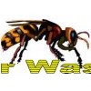 Mr Wasp