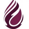 Murray & McGregor Stoves & Fireplaces