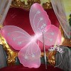 Mystical Fairies
