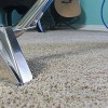 Norfolk Carpet Cleaning Services