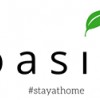 Oasis Interior Landscaping