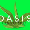 Oasis Landscapes
