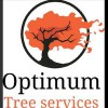 Optimum Tree Services