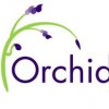 Orchid Carpet Cleaning