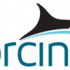 Orcina