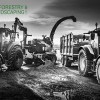 PB Forestry & Landscaping