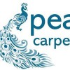 Peacock Carpet Cleaning