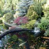 Perry's Ponds & Problems