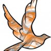 PEST-EX, Environmental Services
