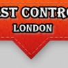 Pest Control London