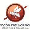 London Pest Solutions